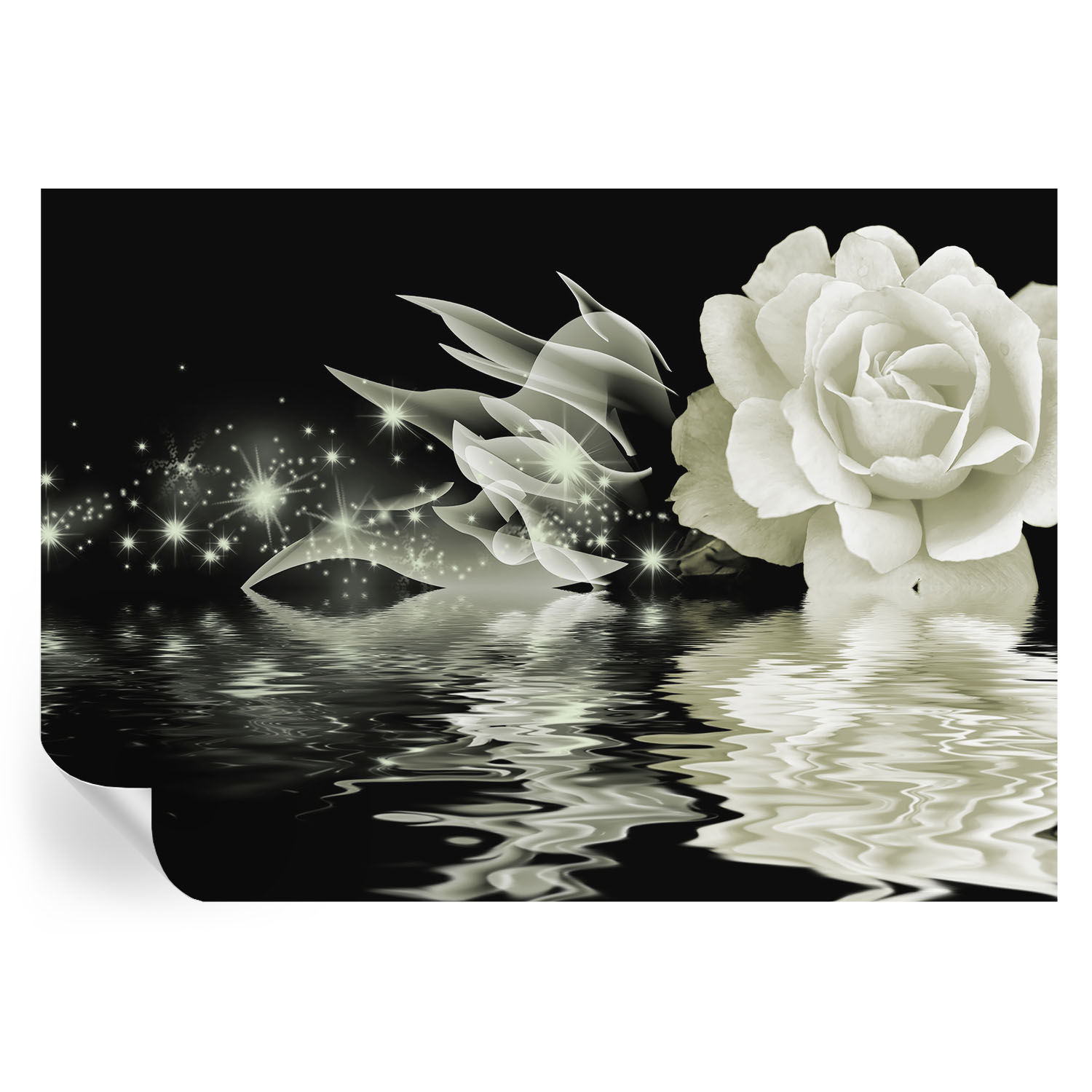 Papel parede adesivo rosa luminosa 312x219 tulup