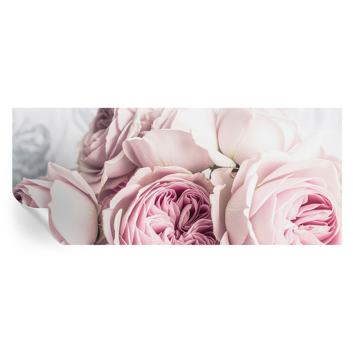 Papel de parede autocolante rosas cor-de-rosa 250x104 tulup