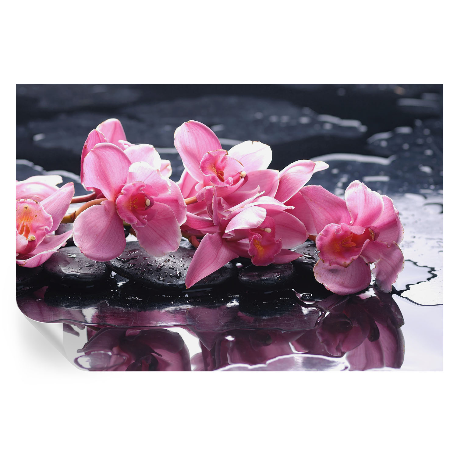 Papel de parede adesivo elegância floral 70x104 tulup