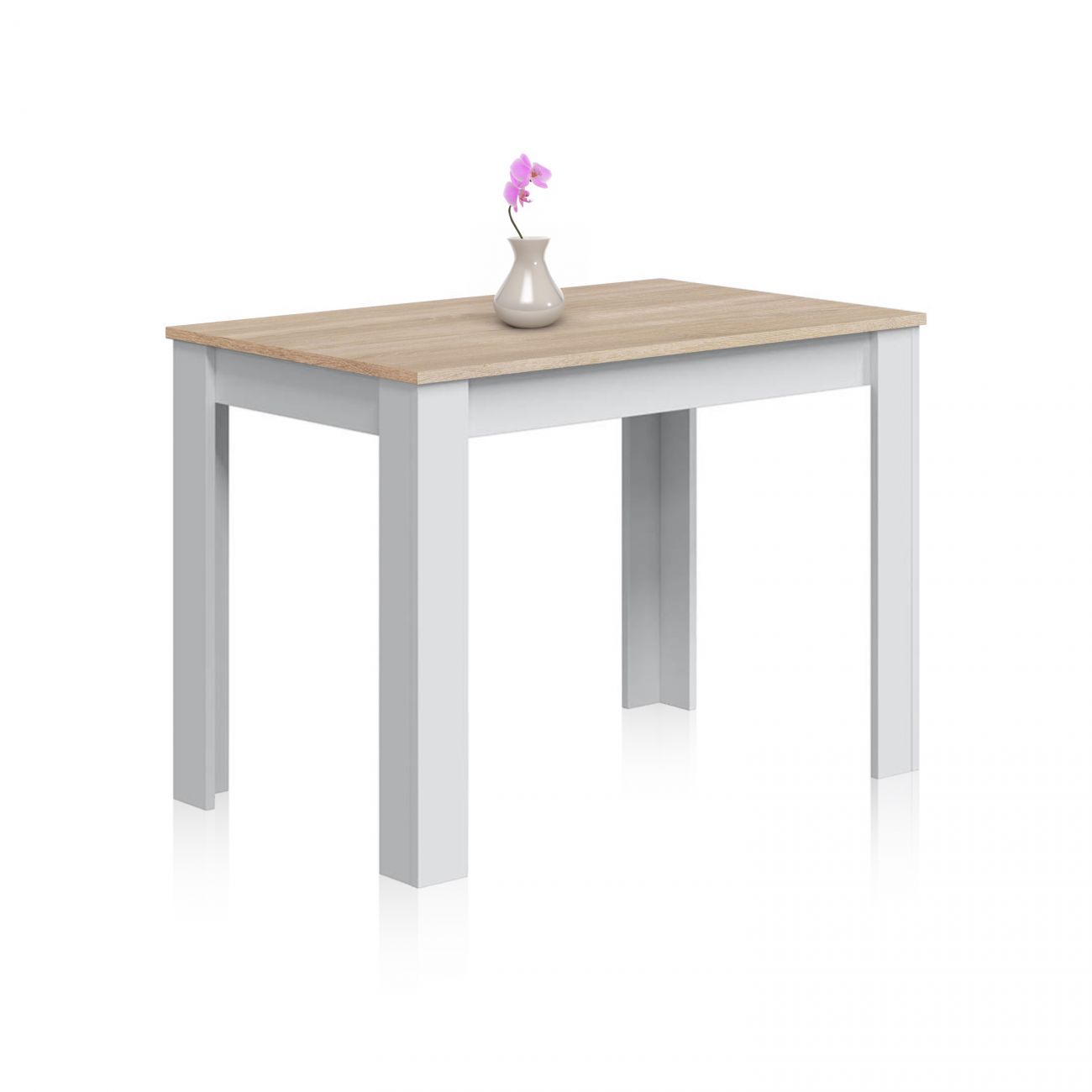 Mesa de jantar dina