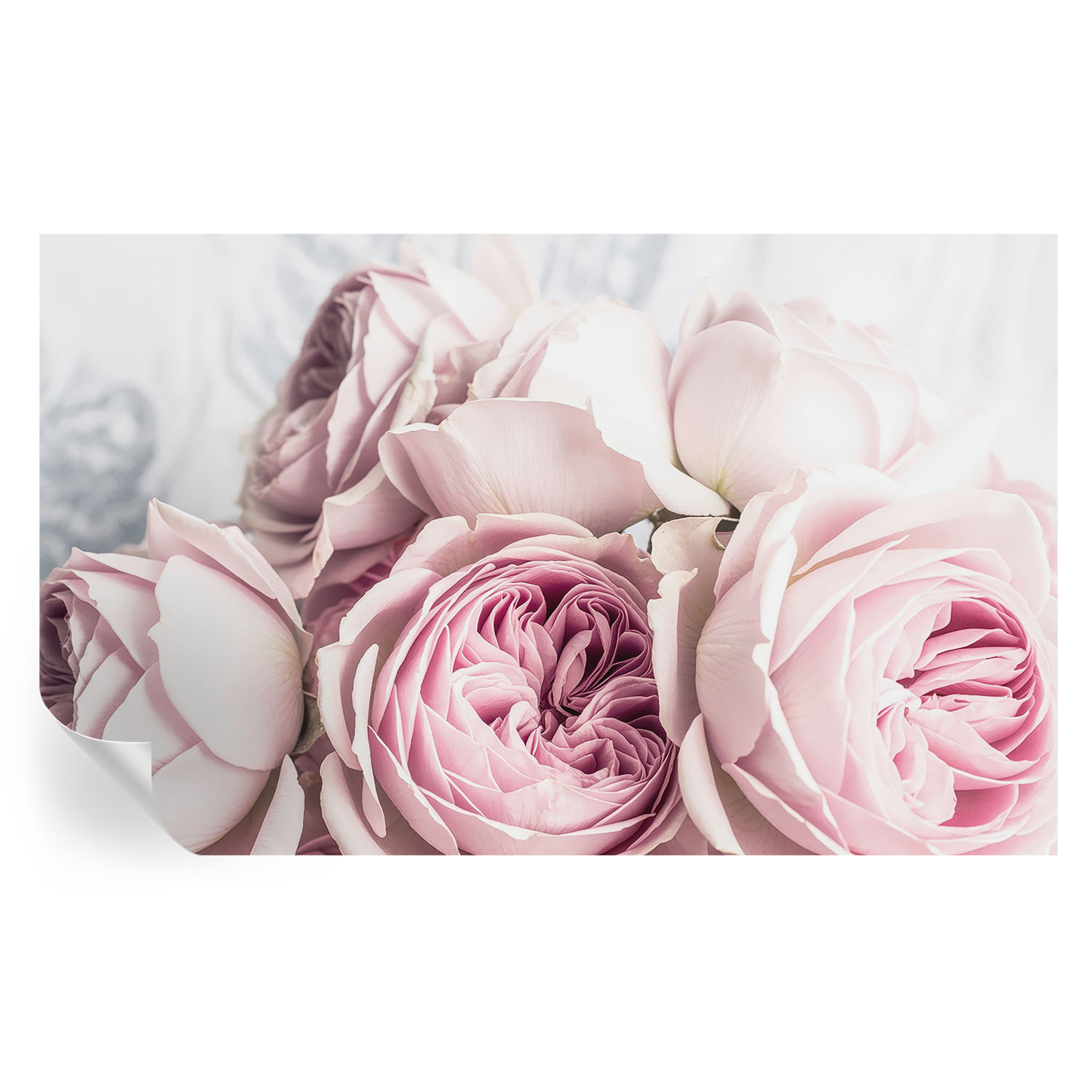 Papel de parede autocolante rosas cor-de-rosa 416x254 tulup
