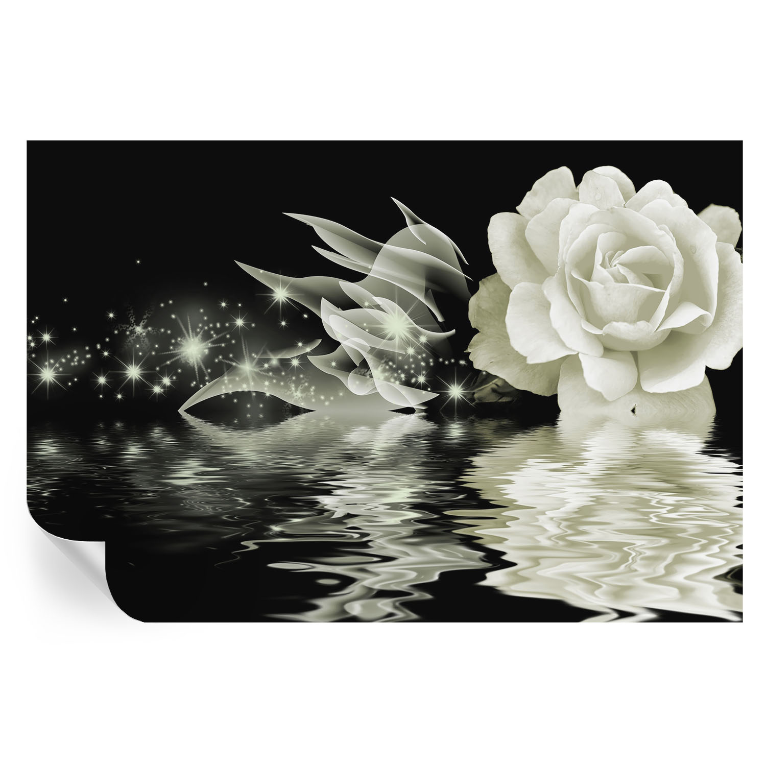 Papel parede adesivo rosa luminosa 70x104 tulup