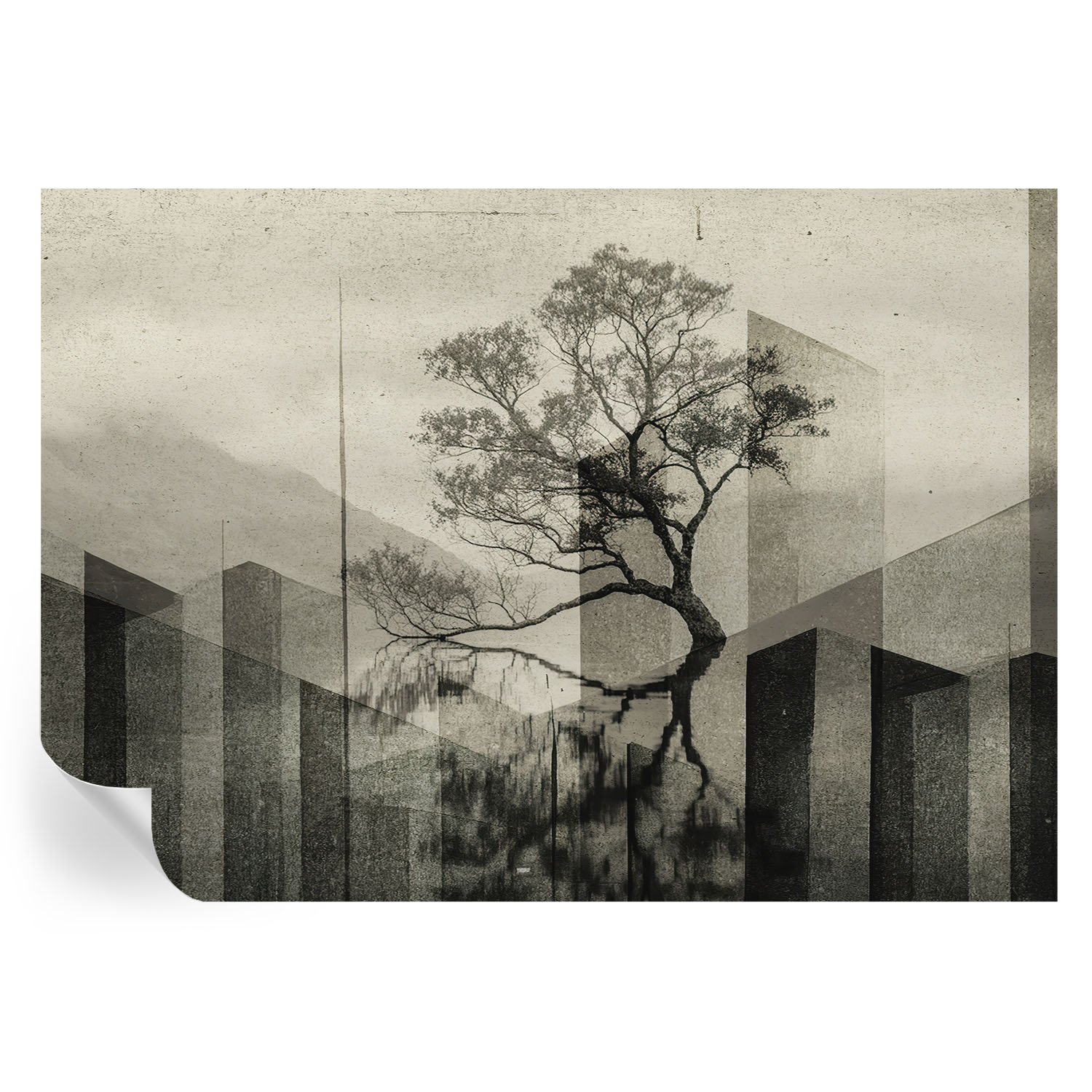 Papel de parede vinílico elegância pura 208x146 tulup