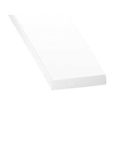 LISO PVC BRANCO 25X5-1 M
