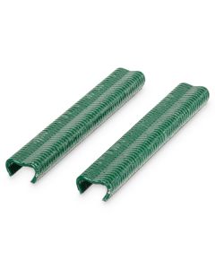 Grampos verdes Blooma
