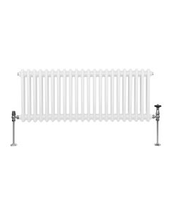 Radiador horizontal tradicional com 2 colunas 300mm x 1012mm