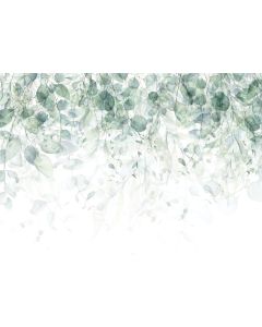 Papel de parede com folhas verdes 400x280 xxl quarto fotomural