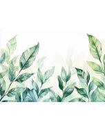 Papel de parede com folhas verdes 350x250 fotomurais não tecidos