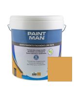 Revestimento fachadas liso mate albero paintman 15l