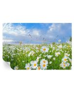 Papel de parede autocolante prado de verão 70x104 tulup