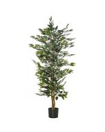 Planta ficus artificial 17x17x150 cm pe color verde Homcom