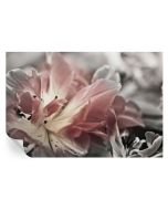 Papel de parede adesivo flor pastel 70x104 tulup