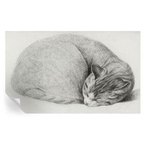 Papel parede adesivo gato enrolado 416x254 tulup