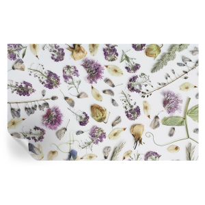 Papel parede adesivo flores secas 416x254 tulup