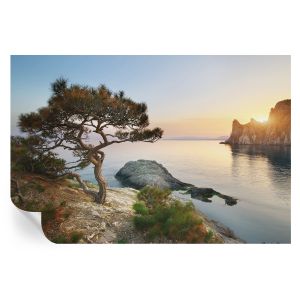Papel de parede vinílico natureza pacífica 104x152 tulup