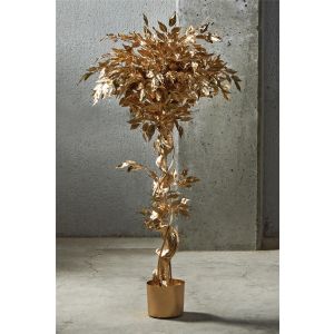 Ficus benjamin gold, planta de 135 cm (78 x 135 cm).