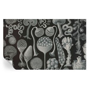 Papel de parede adesivo plantas mágicas 416x254 tulup
