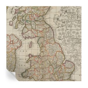 Papel de parede vinílico mapa antigo 250x250 tulup