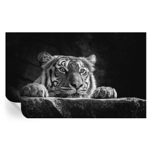 Papel de parede vinílico olhar predatório 416x254 tulup