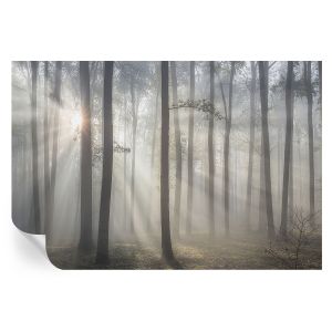 Papel de parede vinílico floresta etérea 104x152 tulup