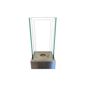 Lareira decorativa bioetanol aosta inox 800w