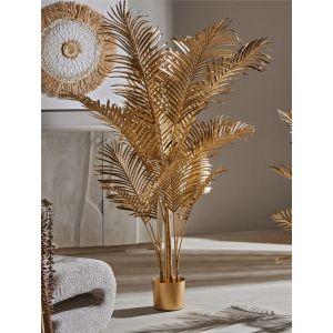 Planta kentia dourada 160 cm. 125x160 cm