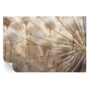 Papel parede adesivo dentes-de-leão sutis 104x152 tulup