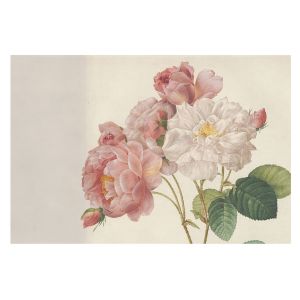 Papel de parede tecido não tecido 312x219 rosas românticas tulup