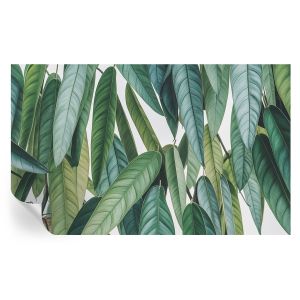 Papel de parede autocolante folhas naturais 416x254 tulup