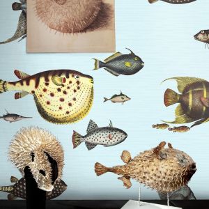 Papel de parede peixe tropical
