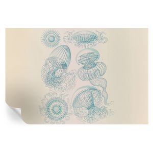 Papel de parede adesivo medusa marinha 104x152 tulup