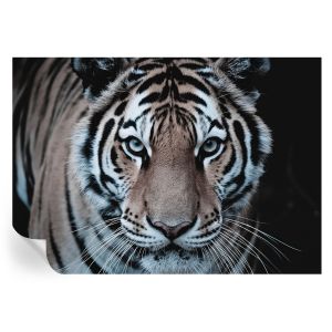 Papel de parede adesivo retrato de tigre 208x146 tulup