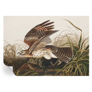 Papel de parede vinílico beleza alada 208x146 tulup