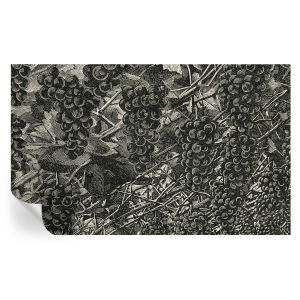 Papel de parede adesivo estampa de uva 416x254 tulup