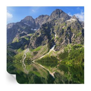 Papel de parede vinílico montanhas pitorescas 250x250 tulup