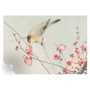 Papel de parede autocolante pássaro florido 208x146 tulup