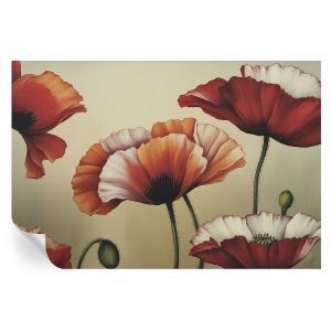 Papel parede adesivo papoulas alegres 104x152 tulup
