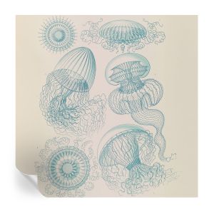 Papel de parede adesivo medusa marinha 250x250 tulup