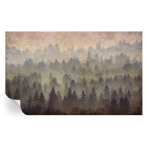 Papel parede adesivo névoa da floresta 416x254 tulup