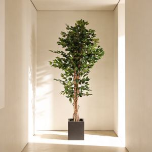 Planta artificial ficus verde 180 cm castanho e verde - naturing monde