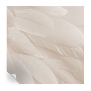 Papel de parede vinílico penas etéreas 250x250 tulup