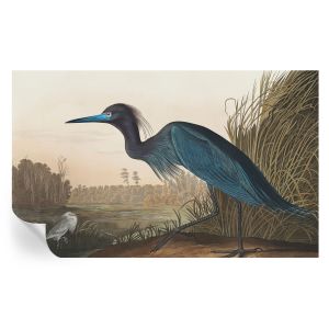 Papel de parede vinílico aves aquáticas 416x254 tulup