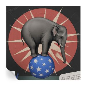 Papel de parede adesivo elefante de circo 250x250 tulup