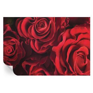 Papel parede adesivo rosas vermelhas 104x152 tulup