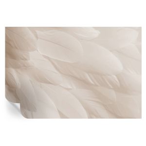Papel de parede vinílico penas etéreas 104x152 tulup