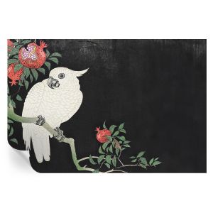 Papel parede adesivo papagaio-romã 104x152 tulup