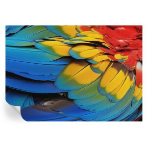 Papel parede adesivo penas de arco-íris 208x146 tulup