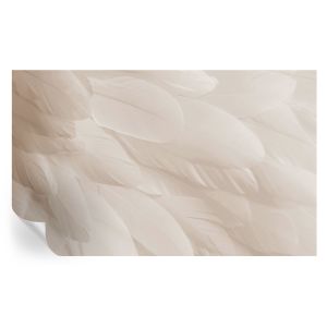 Papel de parede vinílico penas etéreas 416x254 tulup