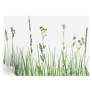 Papel de parede vinílico flora sutil 208x146 tulup