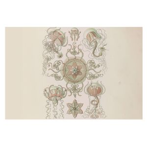 Papel de parede para paredes 312x219 mundo subaquático tulup